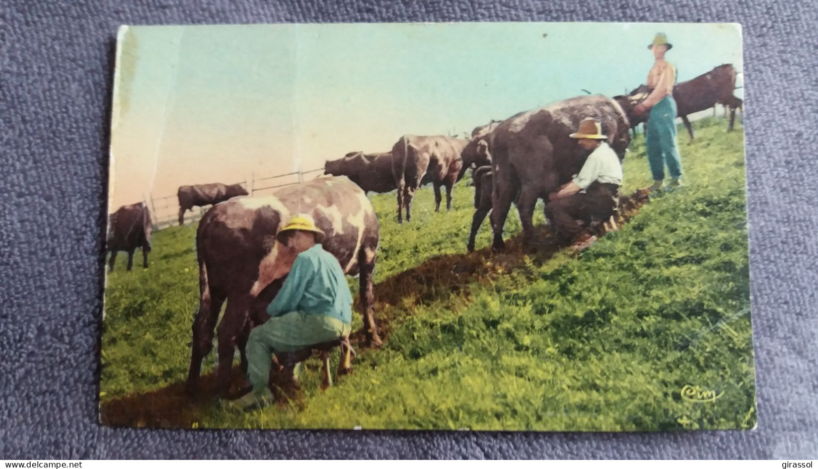 CPA CPSM TRIZAC CANTAL LA VACHERIE VACHES TRAITE ED COMBIER - Autres & Non Classés