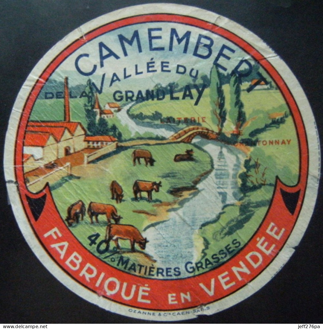 Etiquette Camembert - Vallée Du Grand Lay - Fromagerie De Chantonnay 85 Poitou - Vendée   A Voir ! - Cheese