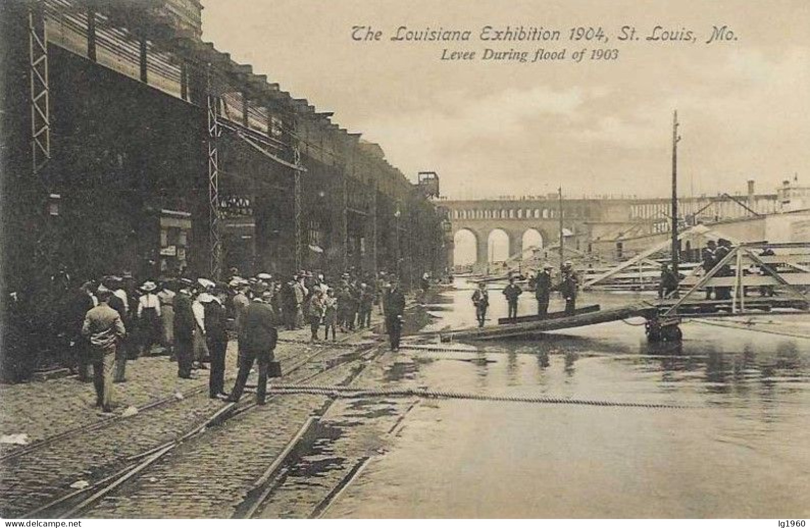 The Louisiana Exhibition 1904 - Saint Louis - Levee During Flood Of 1903 - Card In Very Good Condition! - St Louis – Missouri