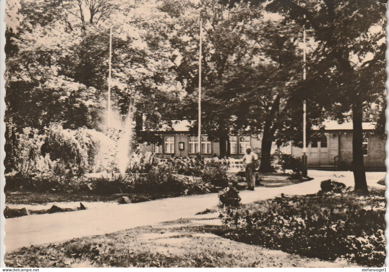 Strehla  1962  Pionierpark - Sonstige & Ohne Zuordnung