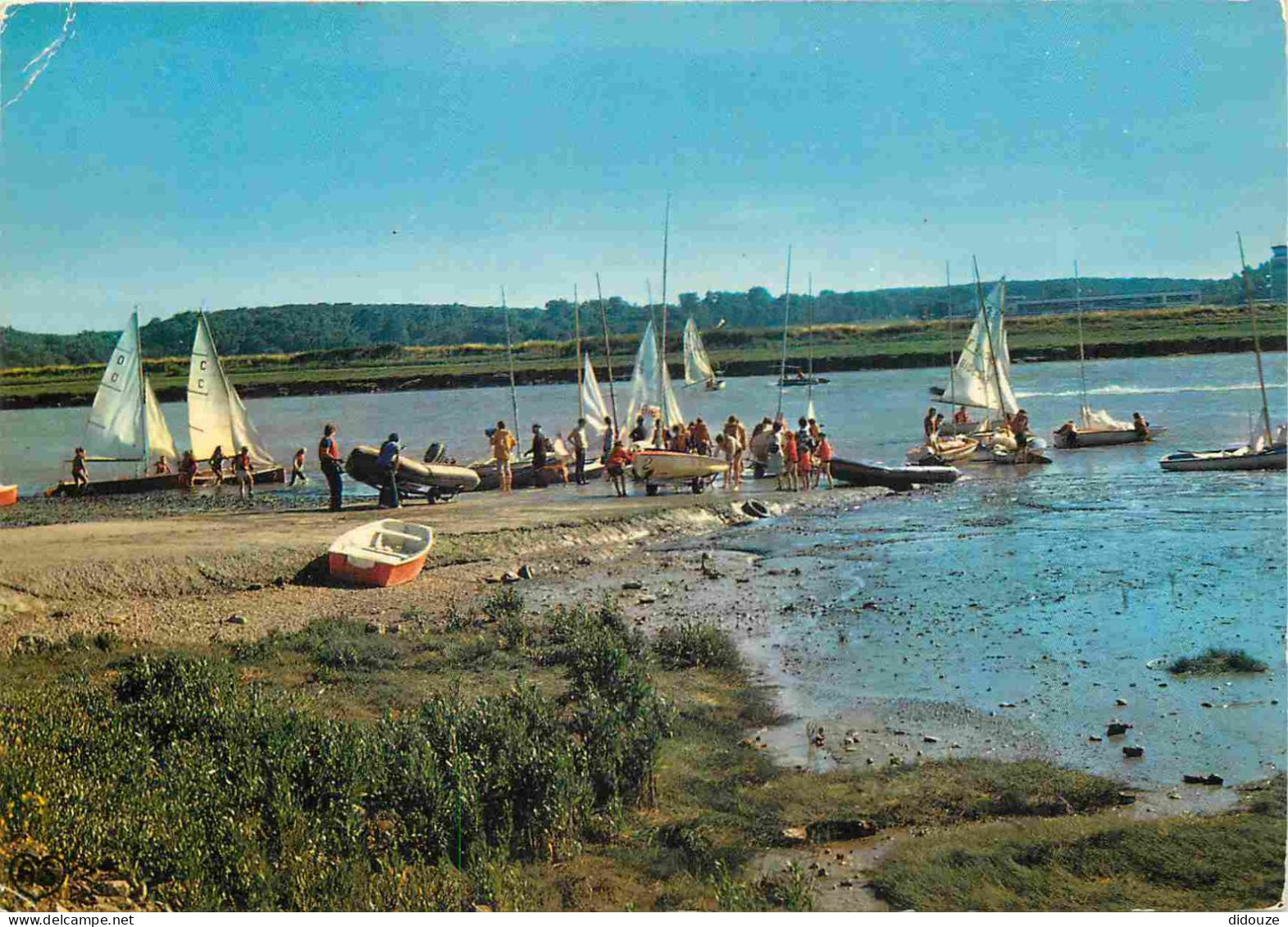 62 - Etaples Sur Mer - Le Cercle Nautique De La Canche - Voile - CPM - Voir Scans Recto-Verso - Etaples