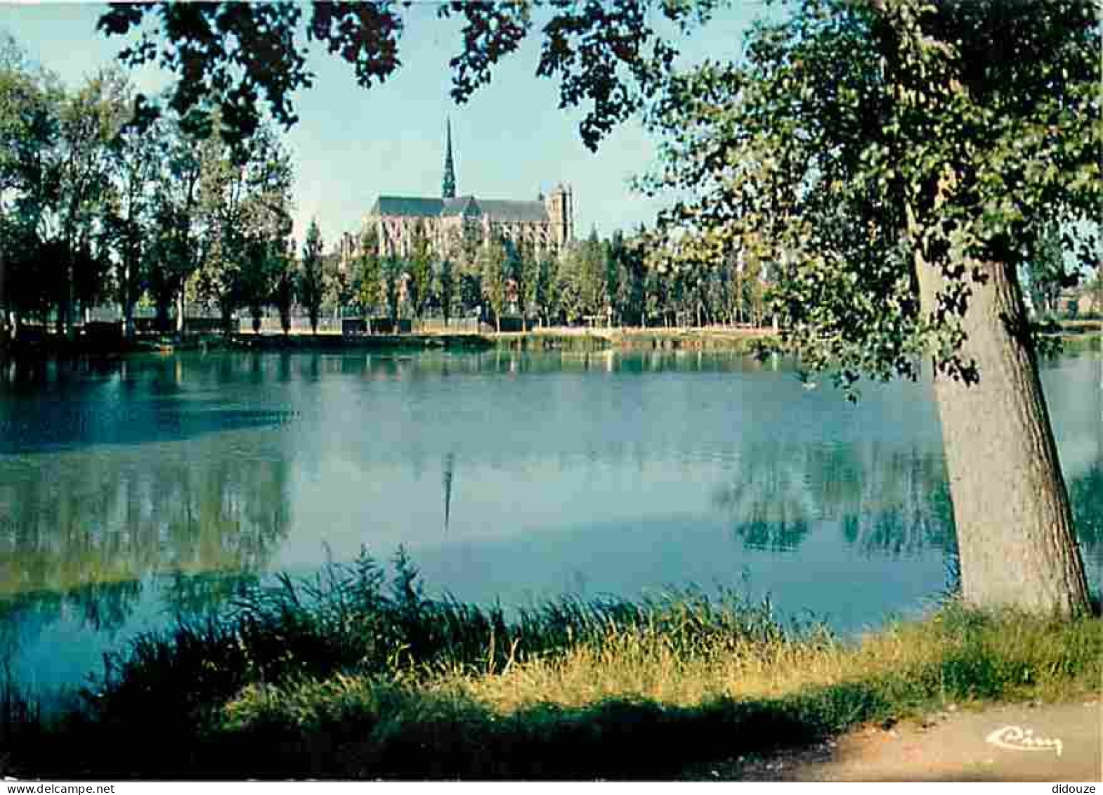 80 - Amiens - L'étang St-Pierre Et La Cathédrale Notre Dame - Carte Neuve - CPM - Voir Scans Recto-Verso - Amiens