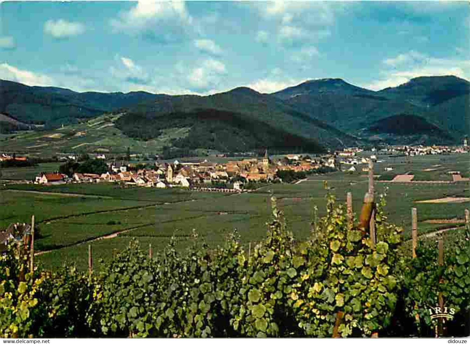 68 - Kientzheim - Vue Générale - A L'arrière Plan à Droite Kaysersberg - CPM - Voir Scans Recto-Verso - Sonstige & Ohne Zuordnung