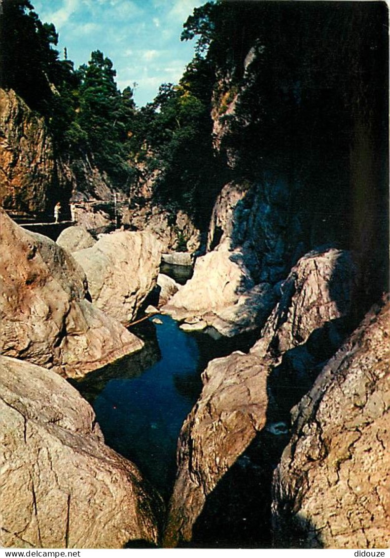 66 - Amélie Les Bains - Les Gorges Du Mondony - CPM - Voir Scans Recto-Verso - Autres & Non Classés