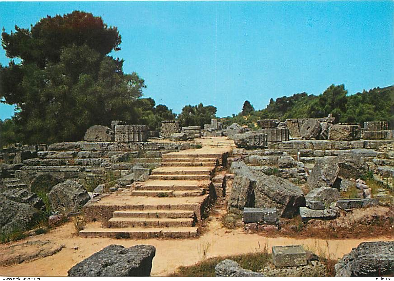 Grèce - Athènes - Athína - Olympie - Le Temple De Zeus - Carte Neuve - CPM - Voir Scans Recto-Verso - Greece