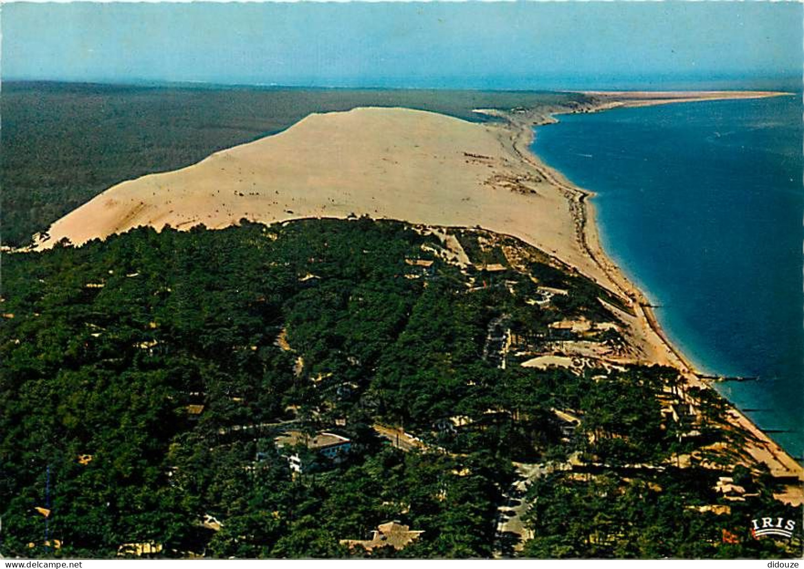 33 - Dune Du Pyla - Vue Aérienne - Bassin D'Arcachon - CPM - Voir Scans Recto-Verso - Autres & Non Classés