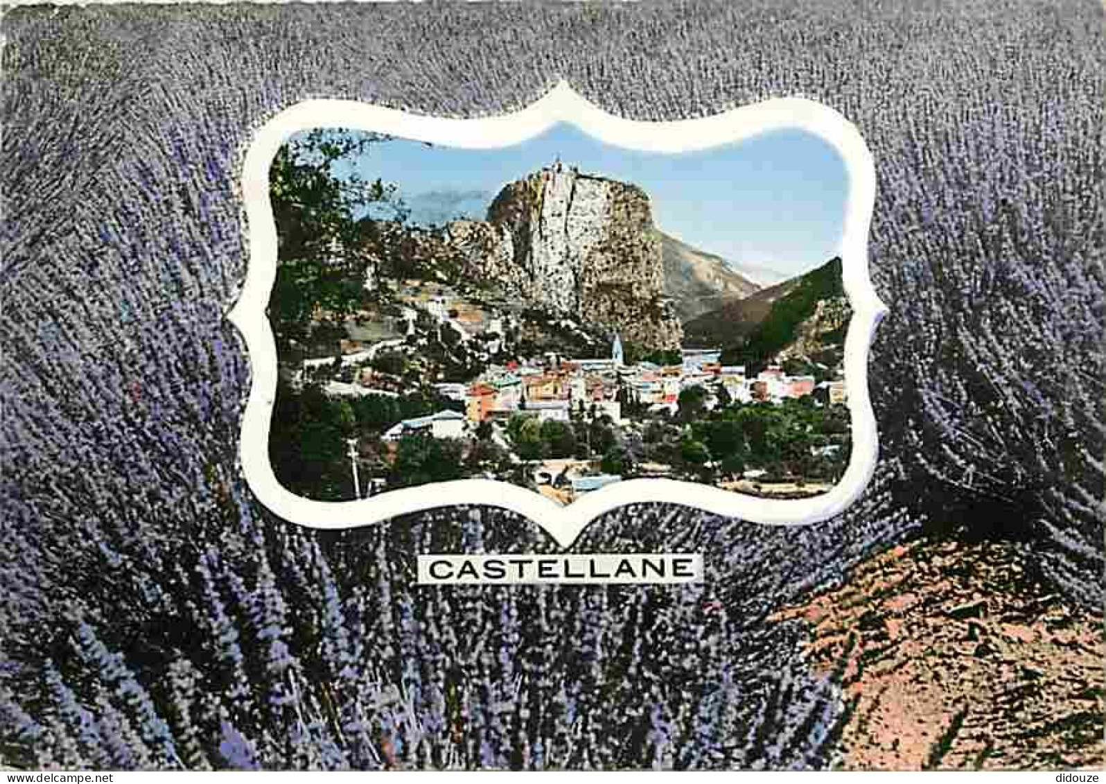 04 - Castellane - Vue Générale - Champs De Lavande - Voir Timbre - CPM - Voir Scans Recto-Verso - Castellane