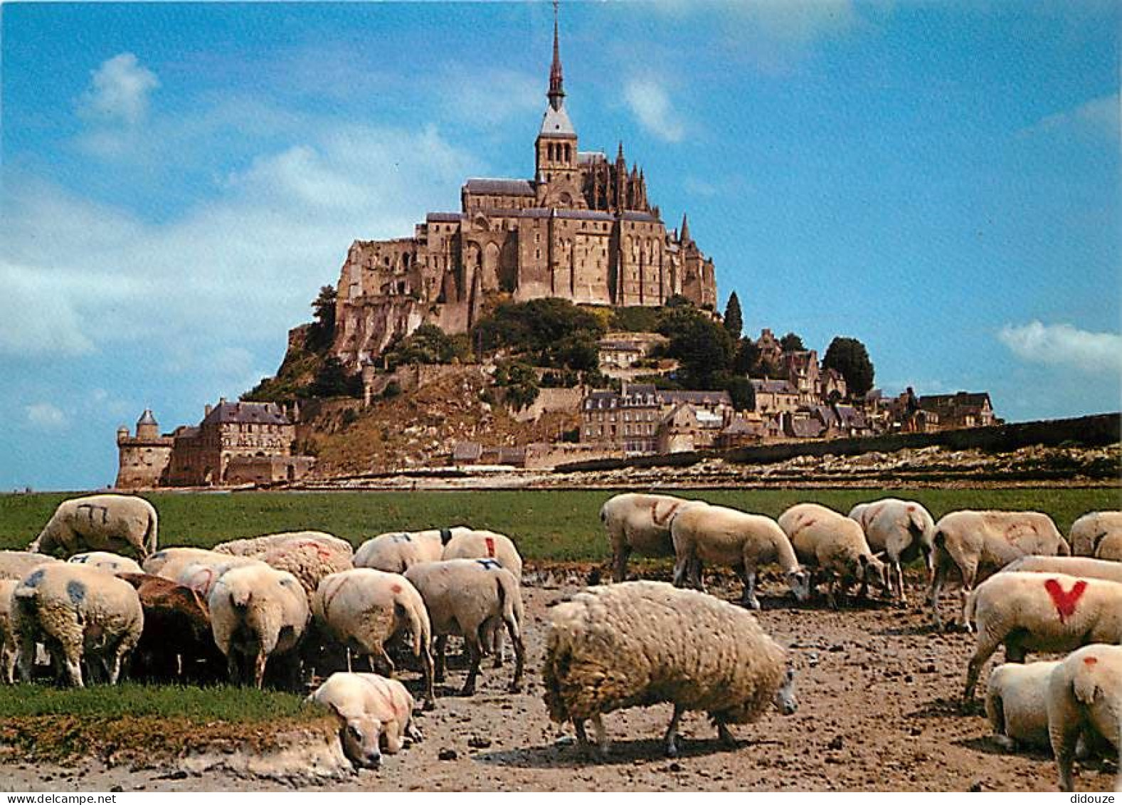 Animaux - Moutons - Le Mont Saint Michel - Les Moutons De Pré-salé - CPM - Voir Scans Recto-Verso - Autres & Non Classés