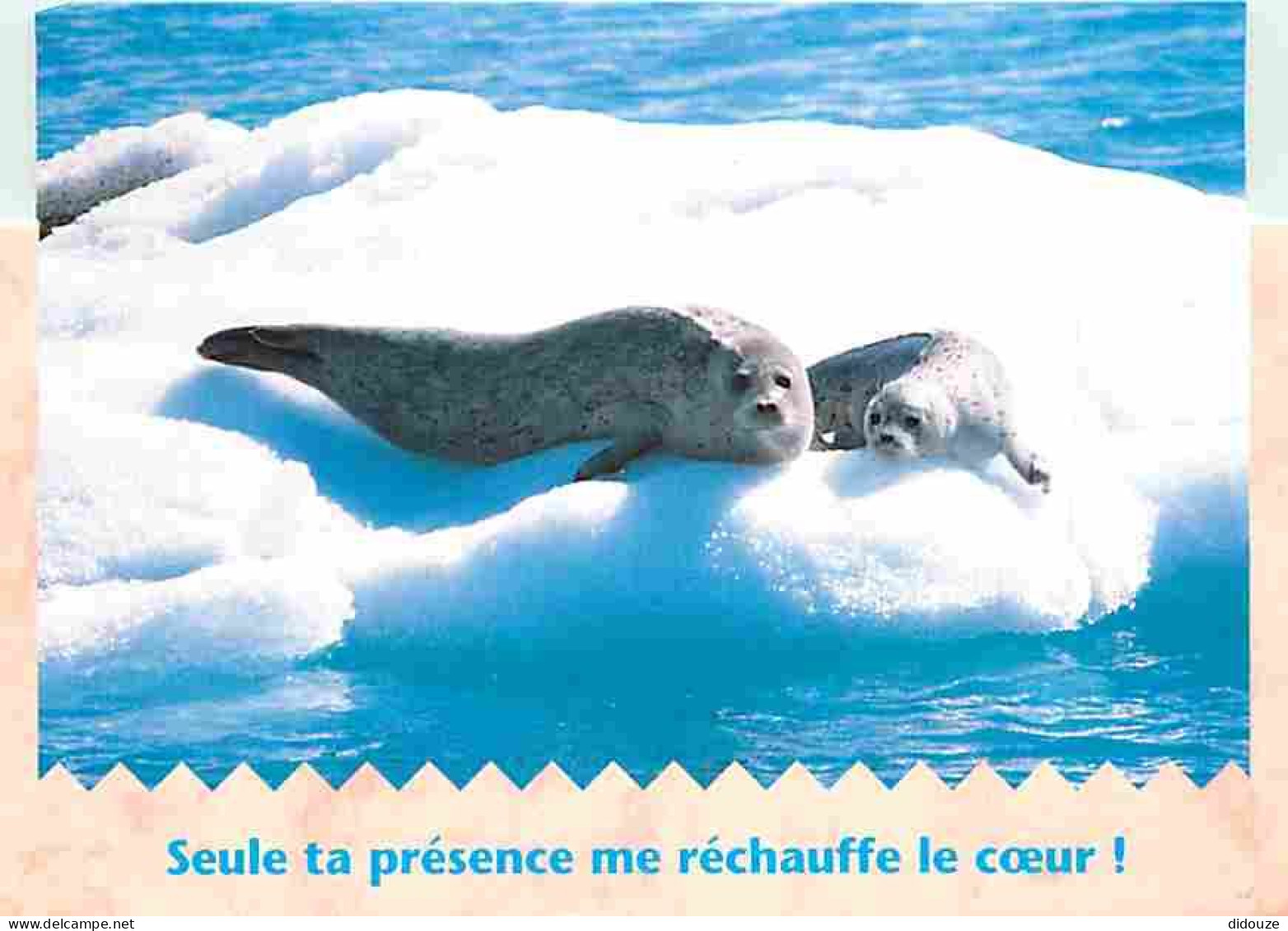 Animaux - Phoques - CPM - Voir Scans Recto-Verso - Autres & Non Classés