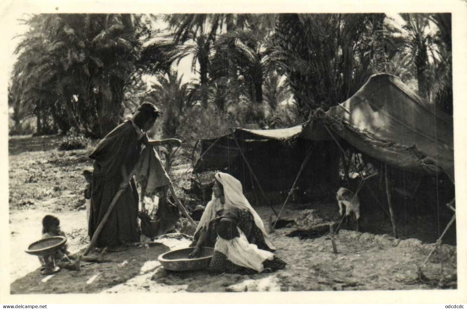 Préparation Du Couscous RV Editions Cardinet - Femmes