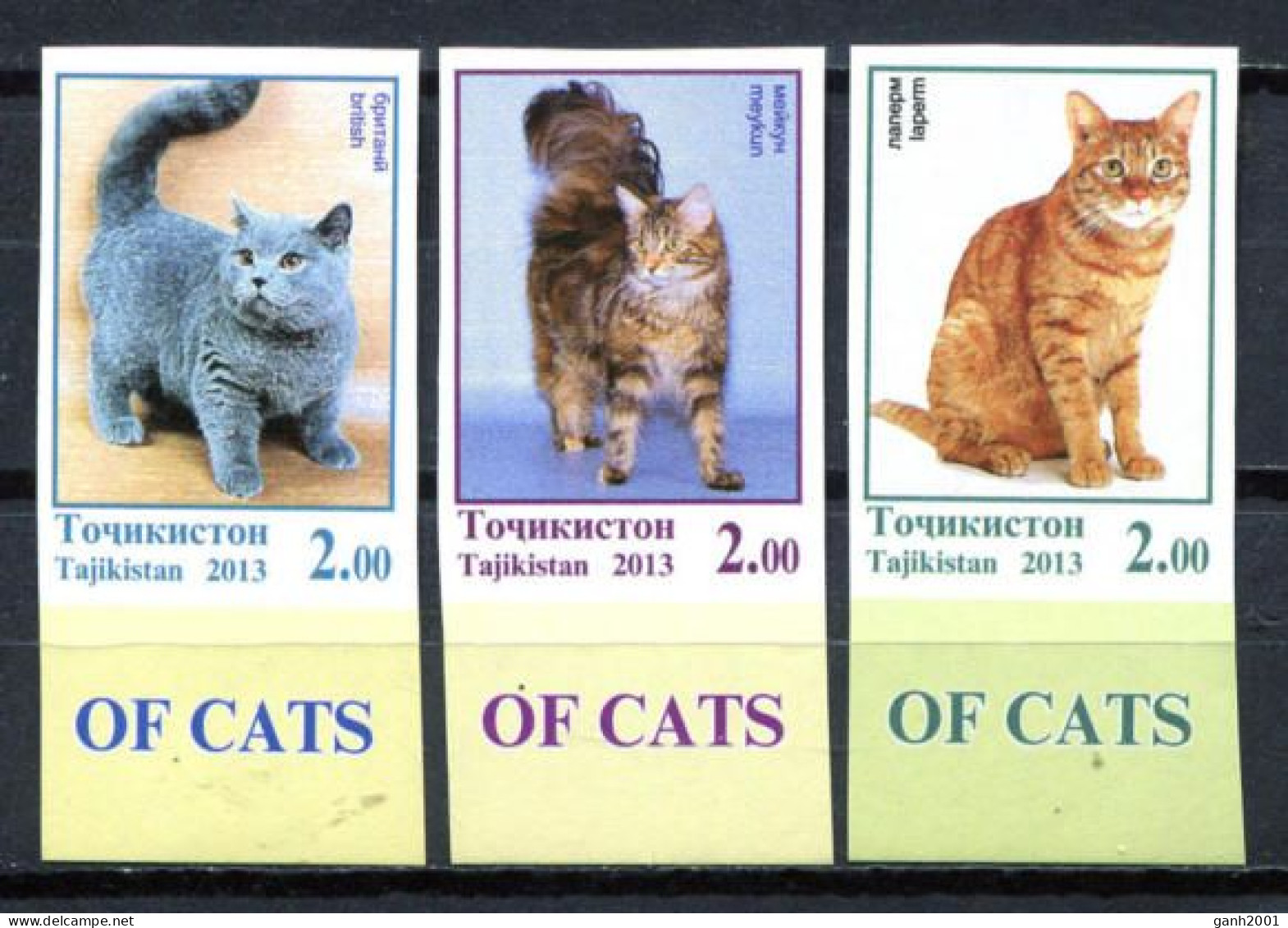 Tajikistan 2013 / Cats Imperforate MNH Non Dentele Gatos Chats Katzen / Hk47  36-8 - Domestic Cats