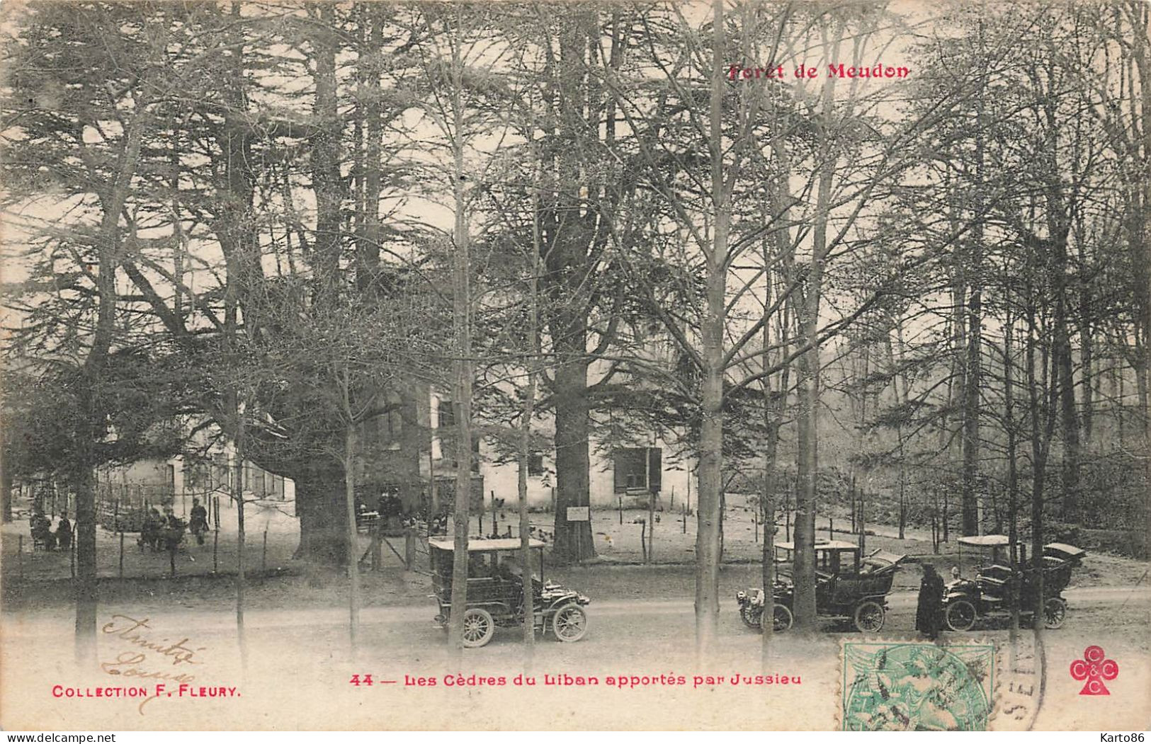 Meudon * La Forêt * Les Cèdres Du Liban Apportés Par Jussieu * Automobile Voiture Ancienne * Arbee - Meudon