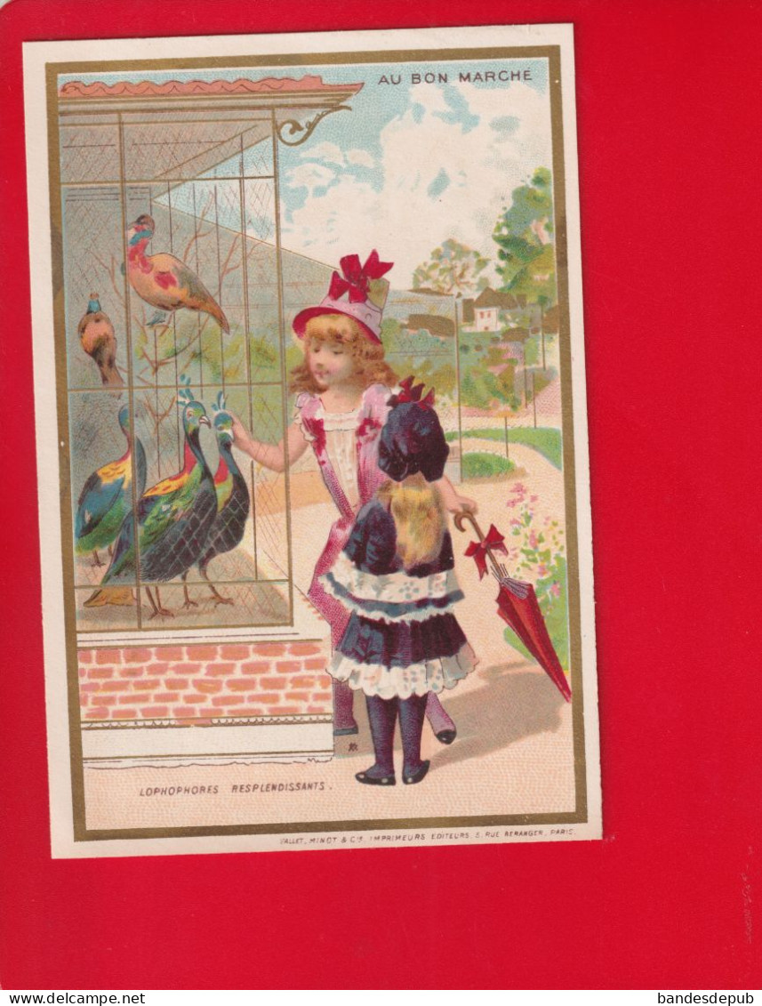 AU BON MARCHE Jolie Chromo Lith Minot Visite Enfants Chiens  Zoo Circa 1890 Lophophores Paon - Au Bon Marché