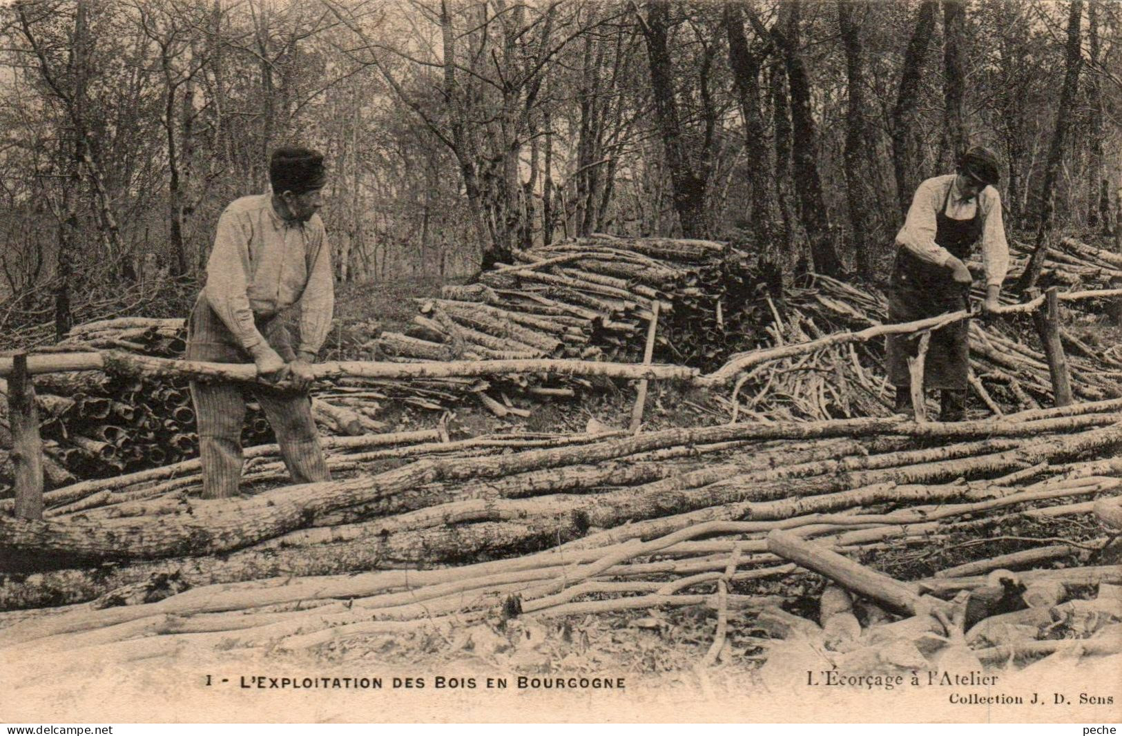 N°2605 W -cpa L'exploitation Des Bois En Bourgogne -écorçage à L'atelier- - Sonstige & Ohne Zuordnung