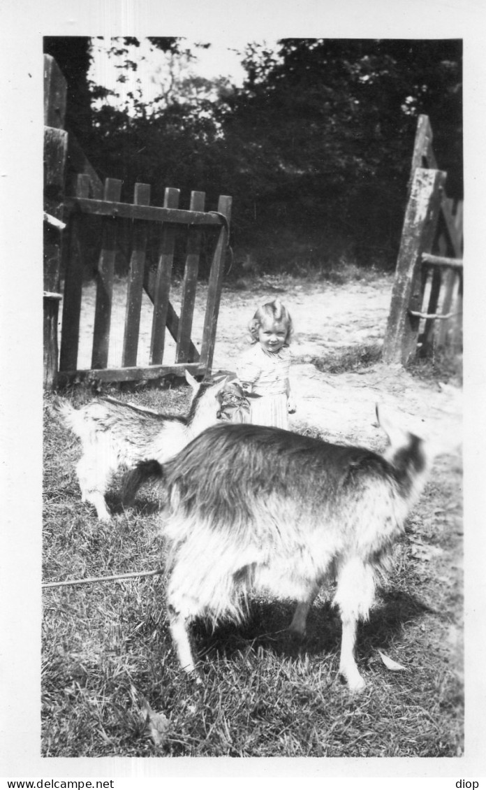 Photo Vintage Paris Snap Shop- Enfant Child Ch&egrave;vre Goat - Autres & Non Classés