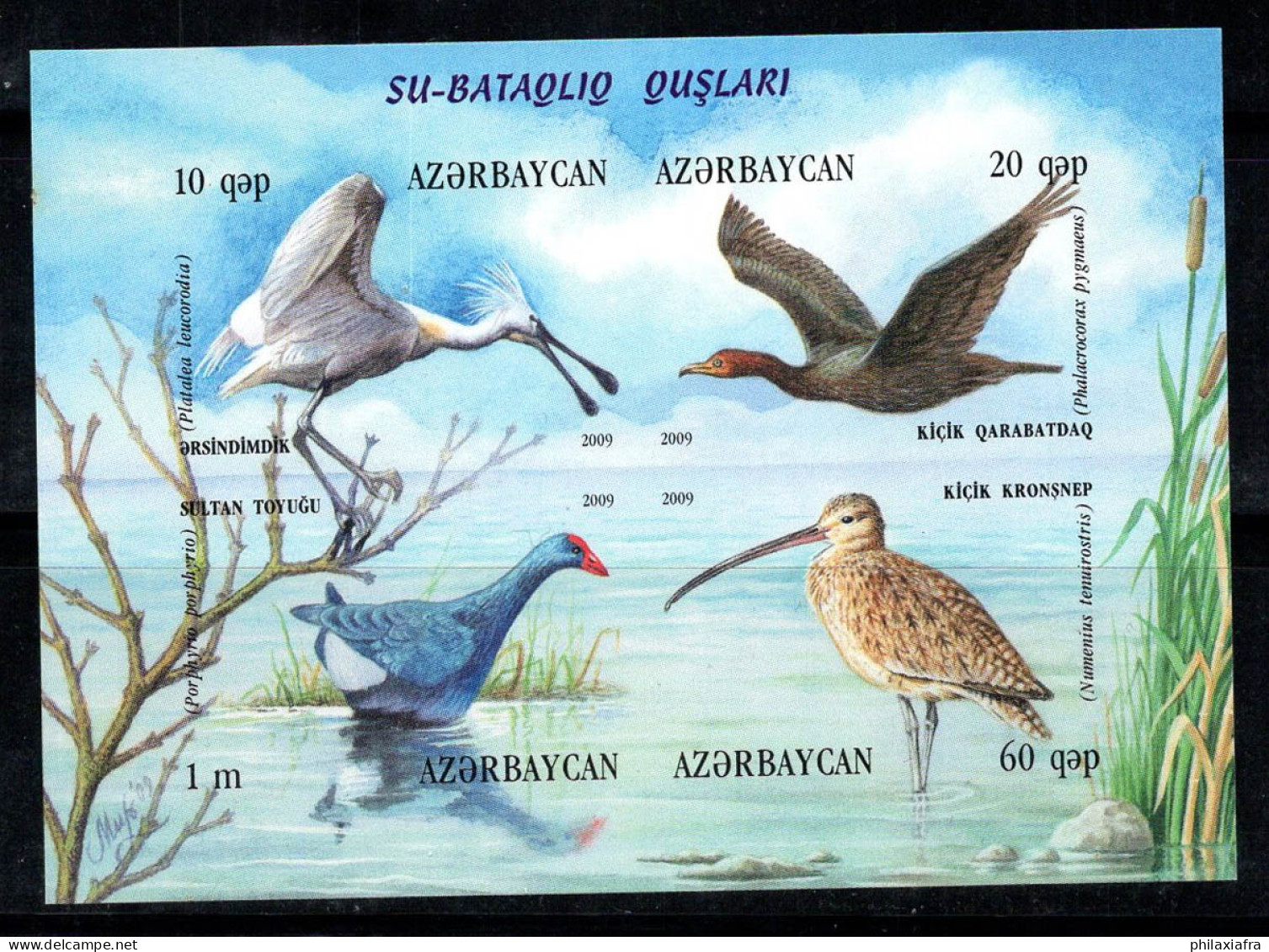 Azerbaïdjan 2009 Mi. Bl. 86B Bloc Feuillet 100% Neuf ** Oiseaux, Faune - Azerbaijan