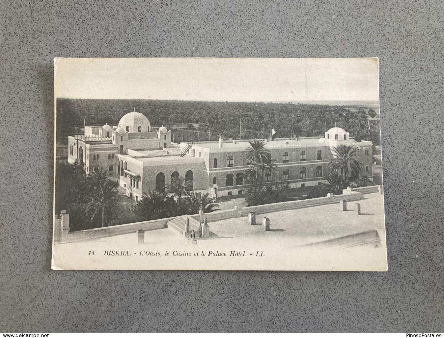 Biskra - L'Oasis, Le Casino Et Le Palace Hotel Carte Postale Postcard - Biskra