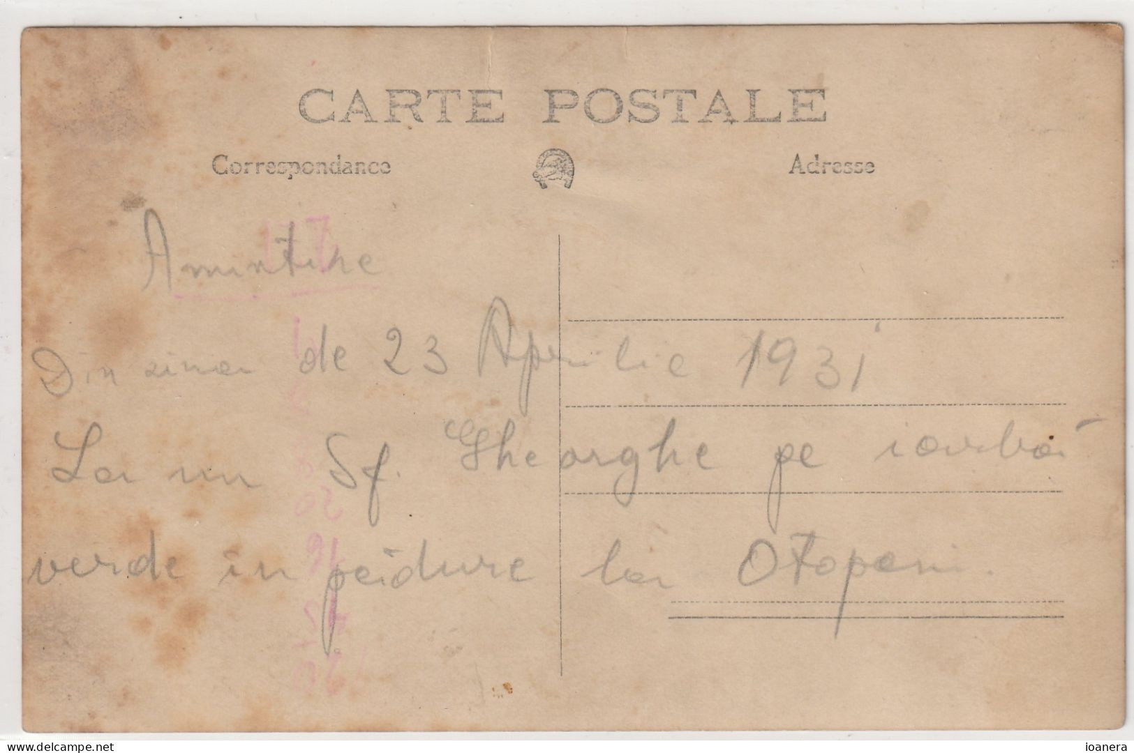 Realfoto Tip Carte Postala - Picnic In Padurea Otopeni 23 Aprilie 1931 - Romania