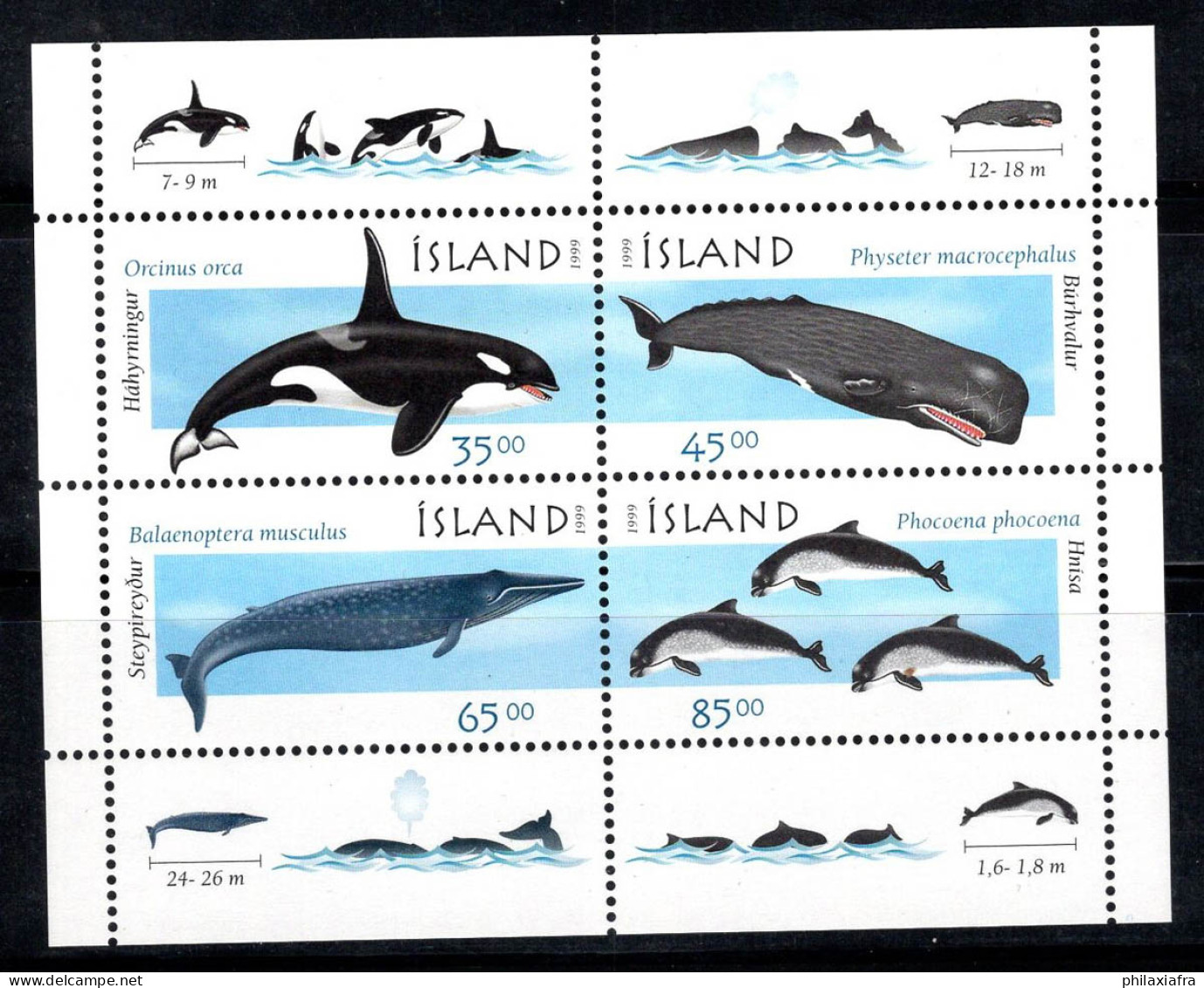 Islande 1999 Mi. Bl. 23 Bloc Feuillet 100% Neuf ** Dauphins, Baleines - Blocks & Kleinbögen