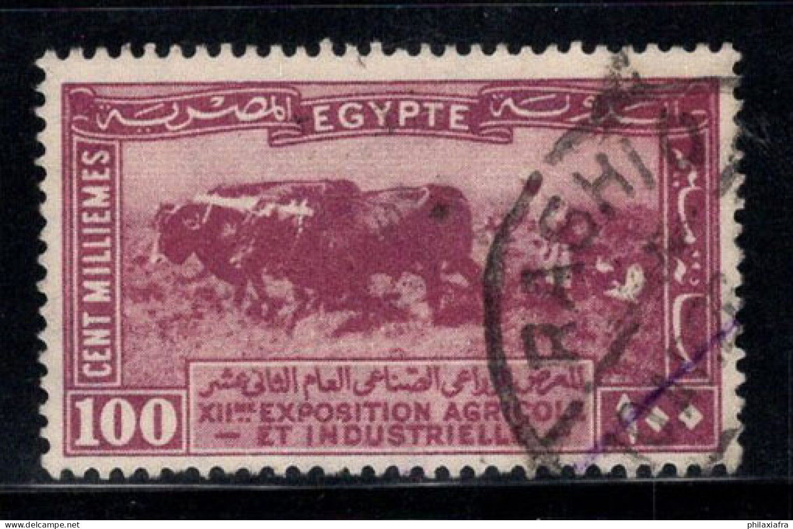 Égypte 1926 Mi. 101 Oblitéré 100% Agriculture, 100 M - Usados