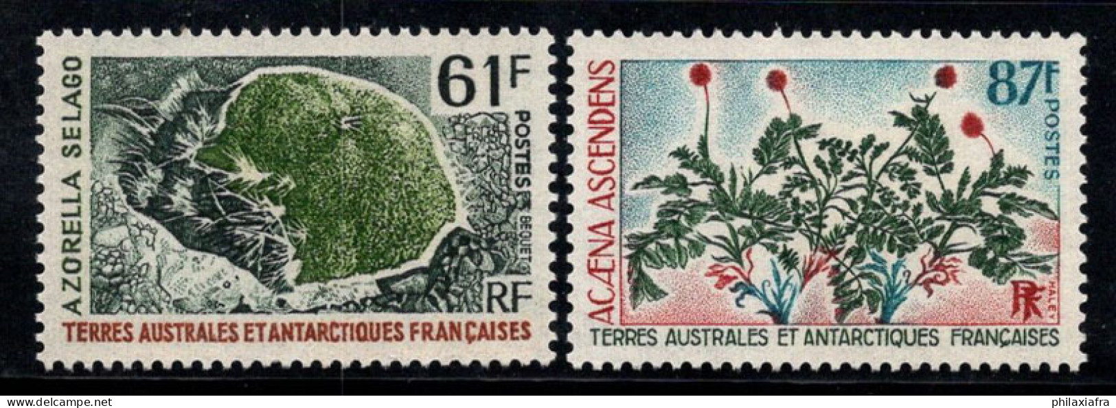 Territoire Antarctique Français TAAF 1973 Mi. 83-84 Neuf ** 100% Plantes De L'Antarctique - Ungebraucht