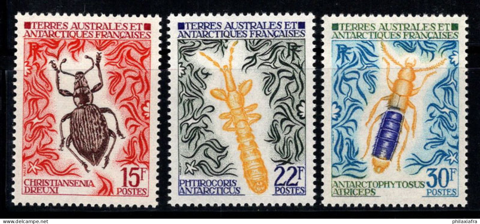 Territoire Antarctique Français TAAF 1972 Mi. 78-80 Neuf ** 100% Insectes, 15 Fr.. - Unused Stamps
