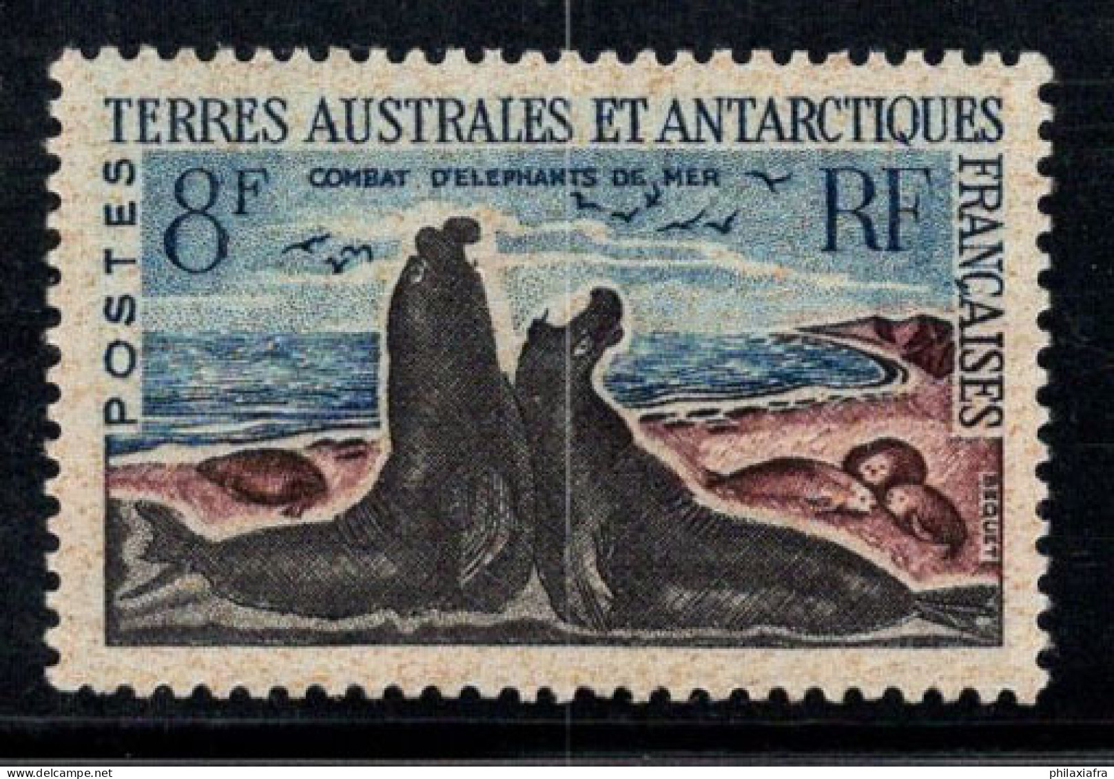 Territoire Antarctique Français TAAF 1962 Mi. 25 Neuf ** 100% 8 Fr, Éléphant De Mer - Unused Stamps