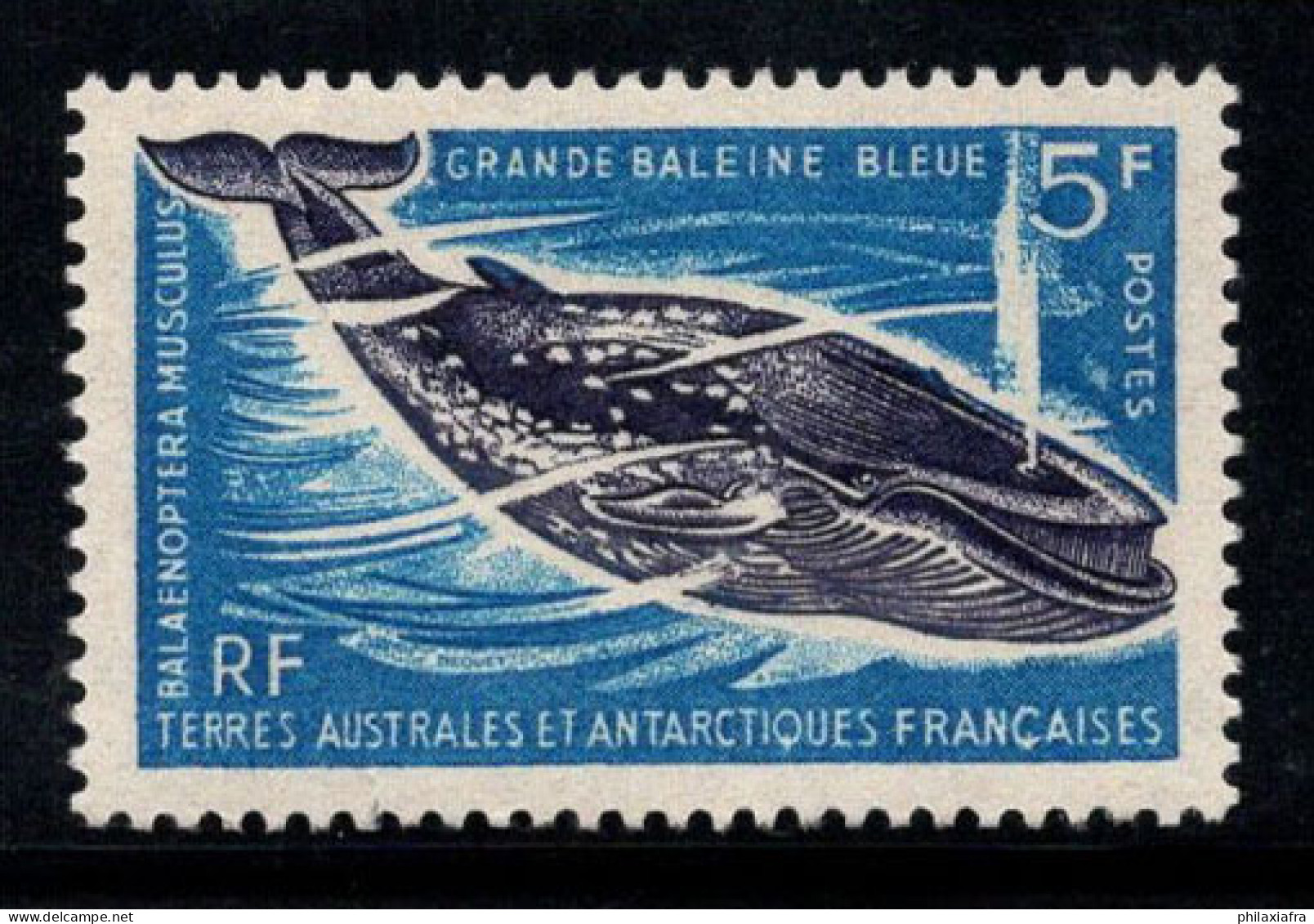 Territoire Antarctique Français TAAF 1966 Mi. 36 Neuf ** 100% 5 Fr, Rorqual Bleu - Neufs