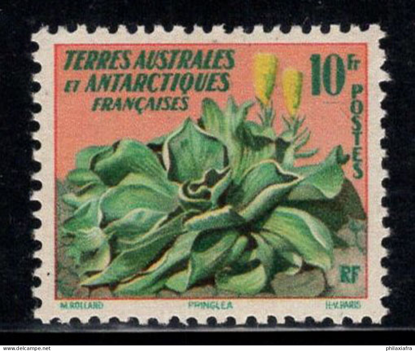 Territoire Antarctique Français TAAF 1959 Mi. 13 Neuf ** 100% 10 Fr, Plante - Unused Stamps
