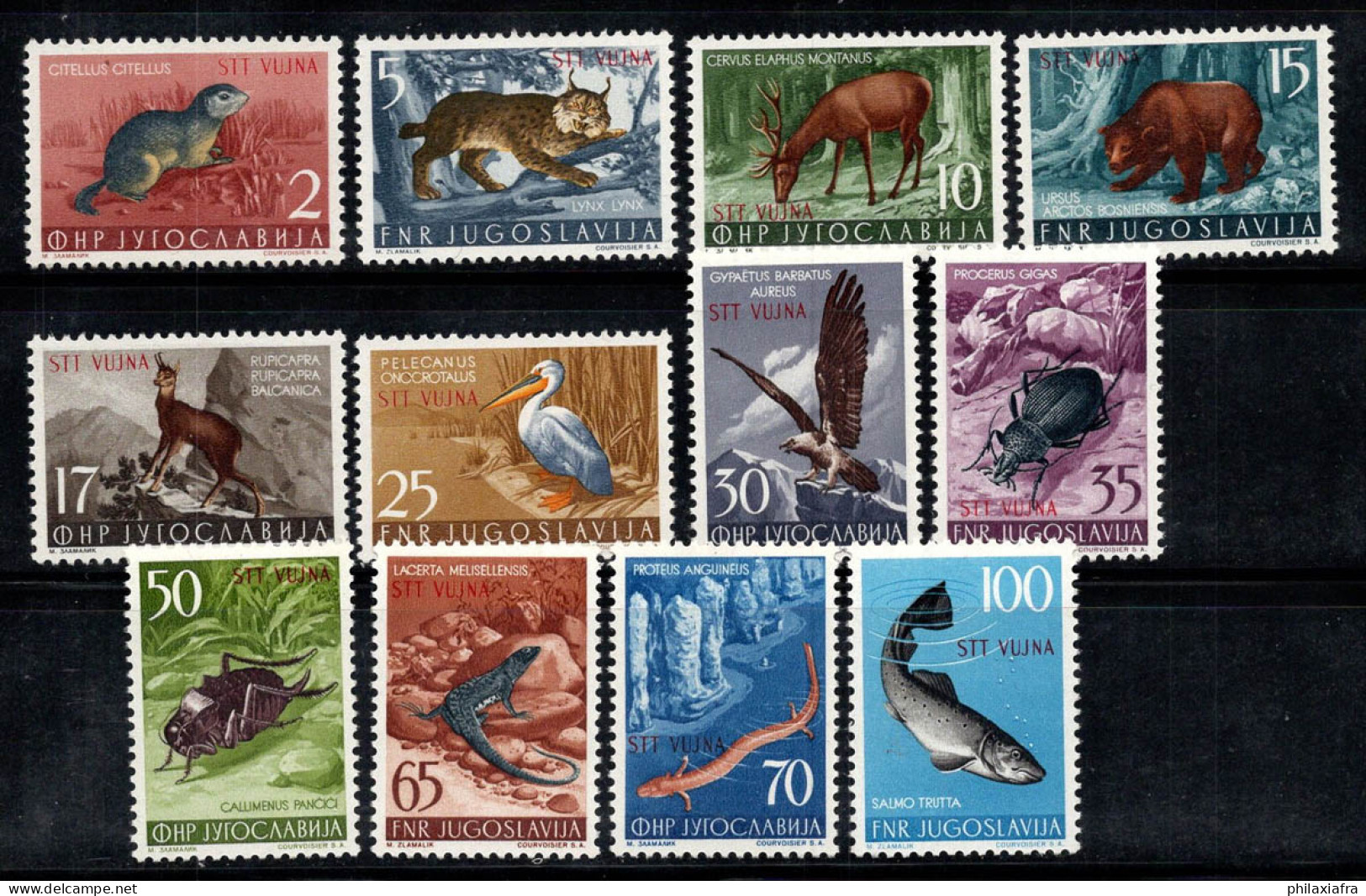 Trieste B 1954 Sass. 101-12 Neuf ** 100% Surimprimé Animaux, Castor, Lynx... - Mint/hinged