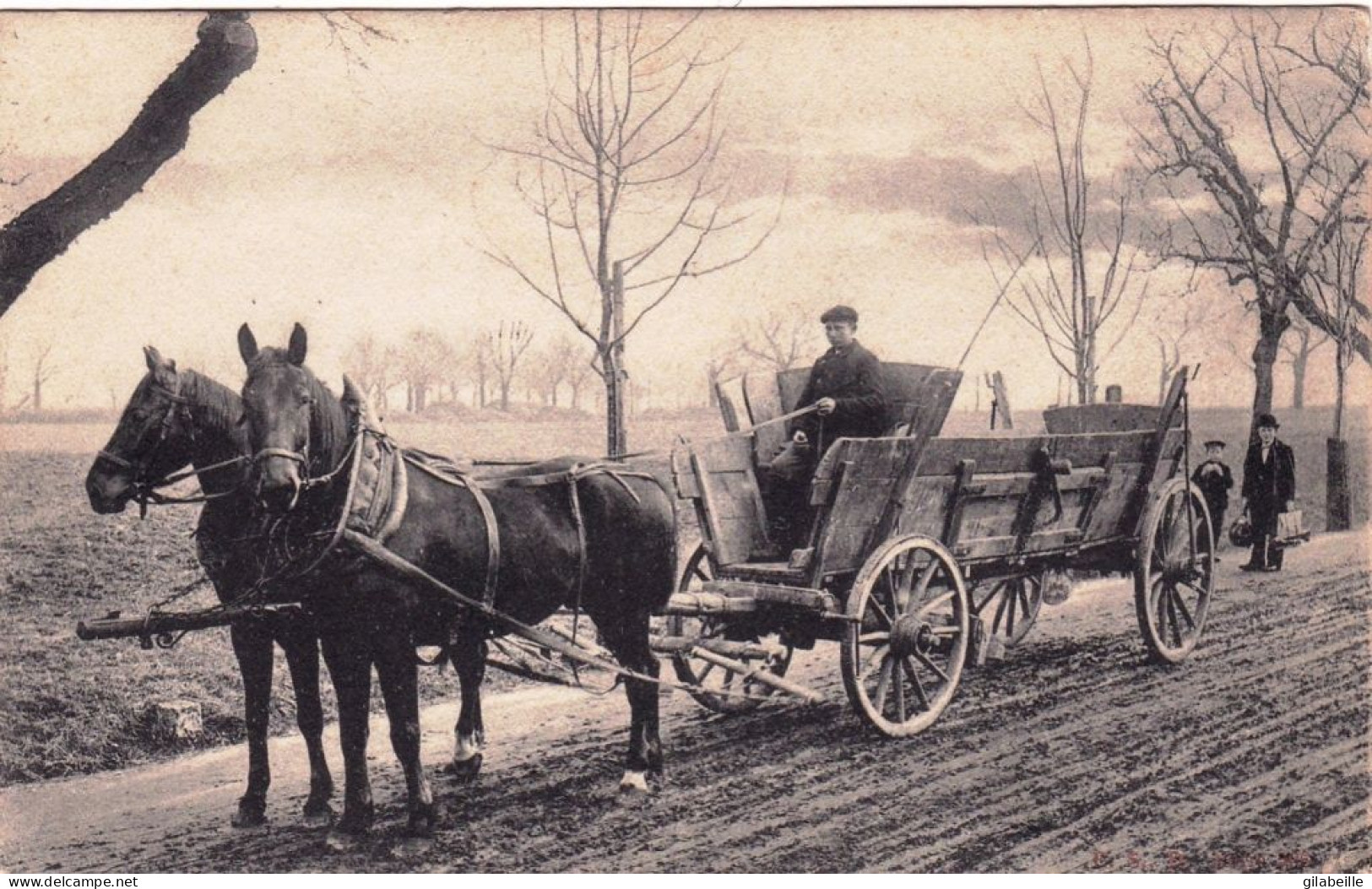 Nederland - Pays Bas - Team Van Paarden In Nederland -  Attelage De Chevaux Au Pays Bas - Autres & Non Classés