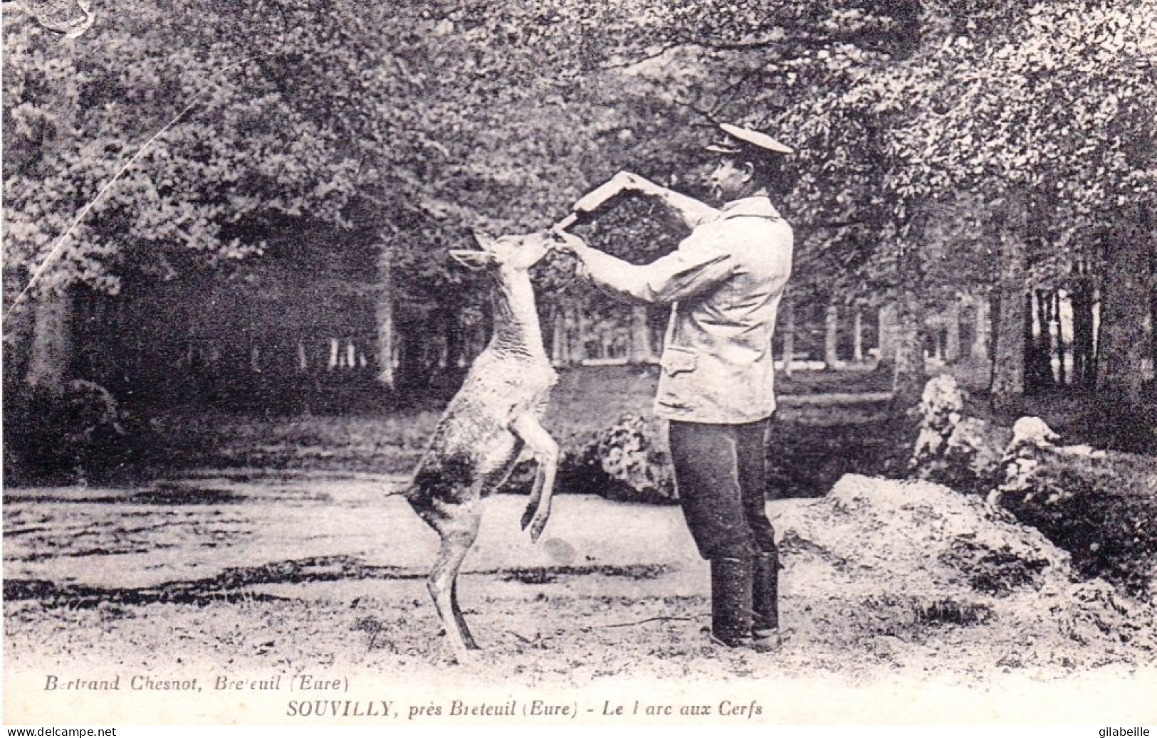 27 -  Eure -  SOUVILLY Pres Breteuil - Le Parc Aux Cerfs - Sonstige & Ohne Zuordnung