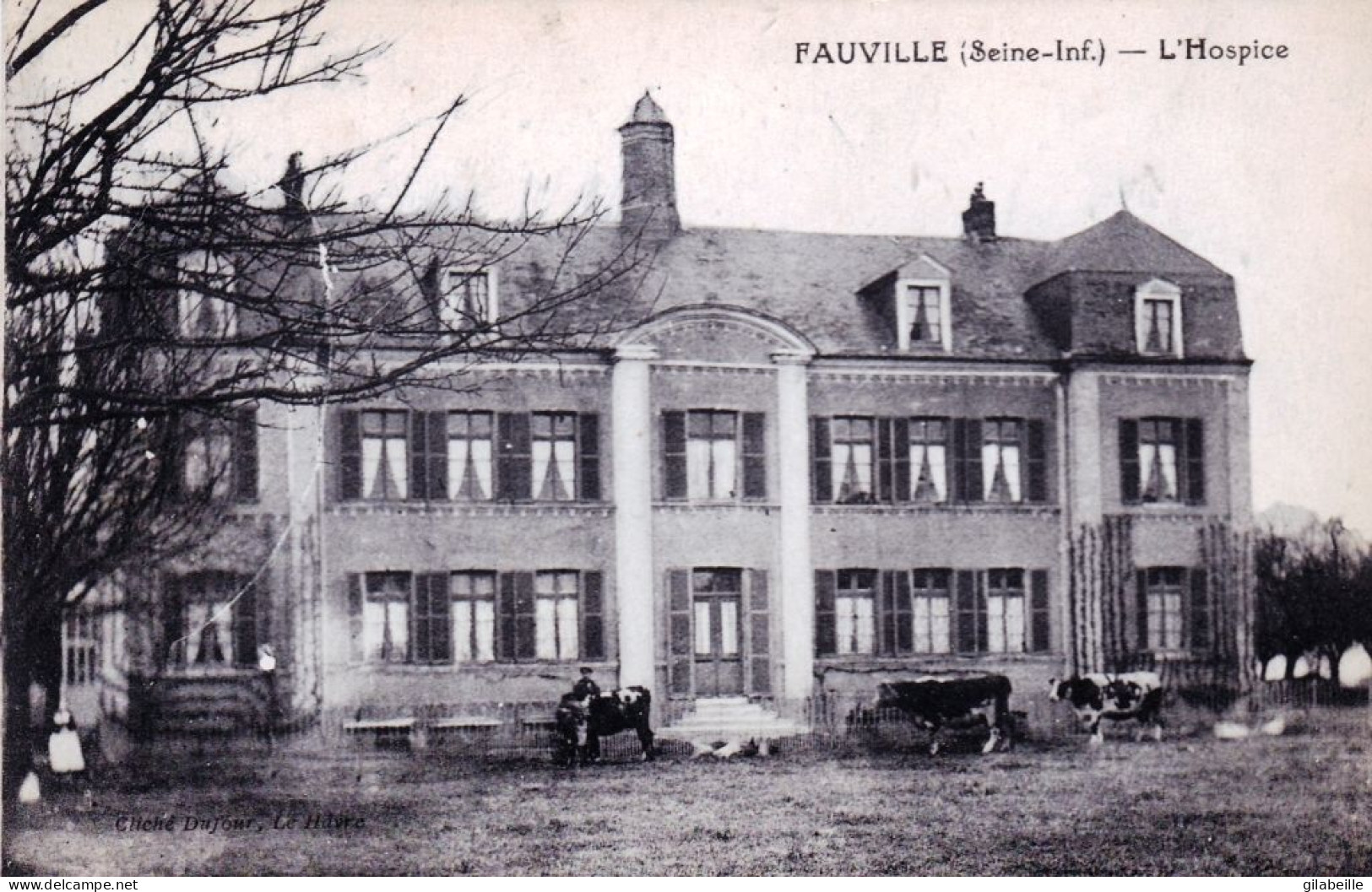 76 - Seine Maritime - FAUVILLE - Les Vaches Devant  L Hospice - Sonstige & Ohne Zuordnung