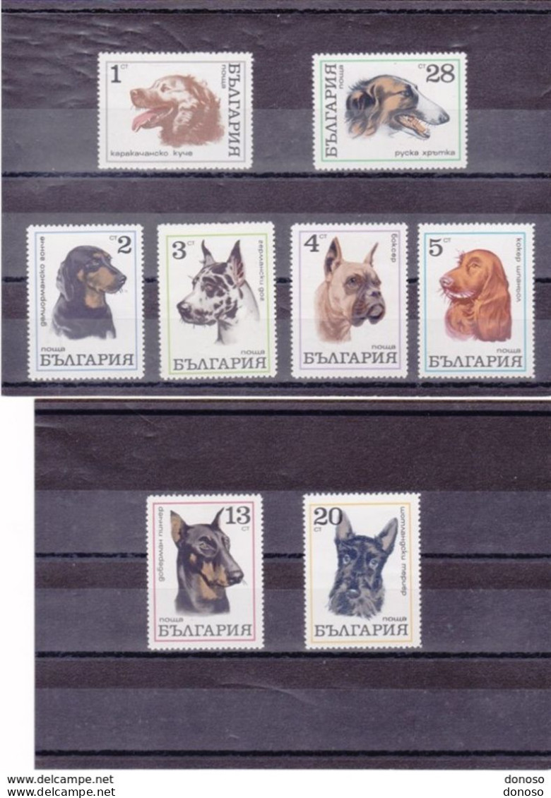BULGARIE 1970 CHIENS Yvert  1799-1806, Michel 2021-2028 NEUF** MNH Cote 10 Euros - Unused Stamps