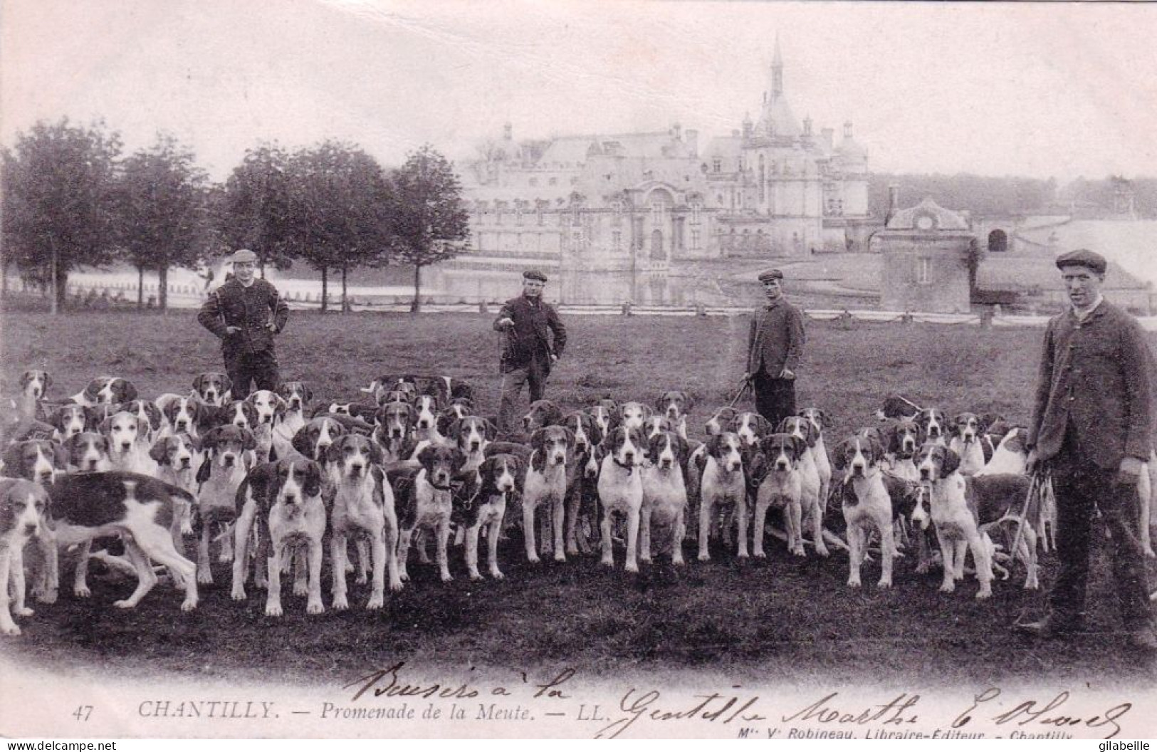 60 - Oise -  CHANTILLY - Chasse A Courre -  Promenade De La Meute - Chantilly