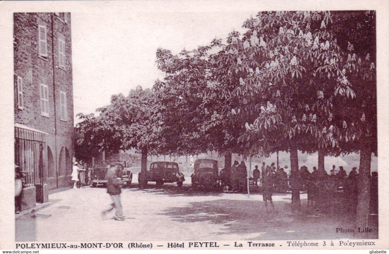 69 - Rhone -  POLEYMIEUX Au MONT D OR ( Lyon )  - Hotel Peytel - La Terrasse - Autres & Non Classés