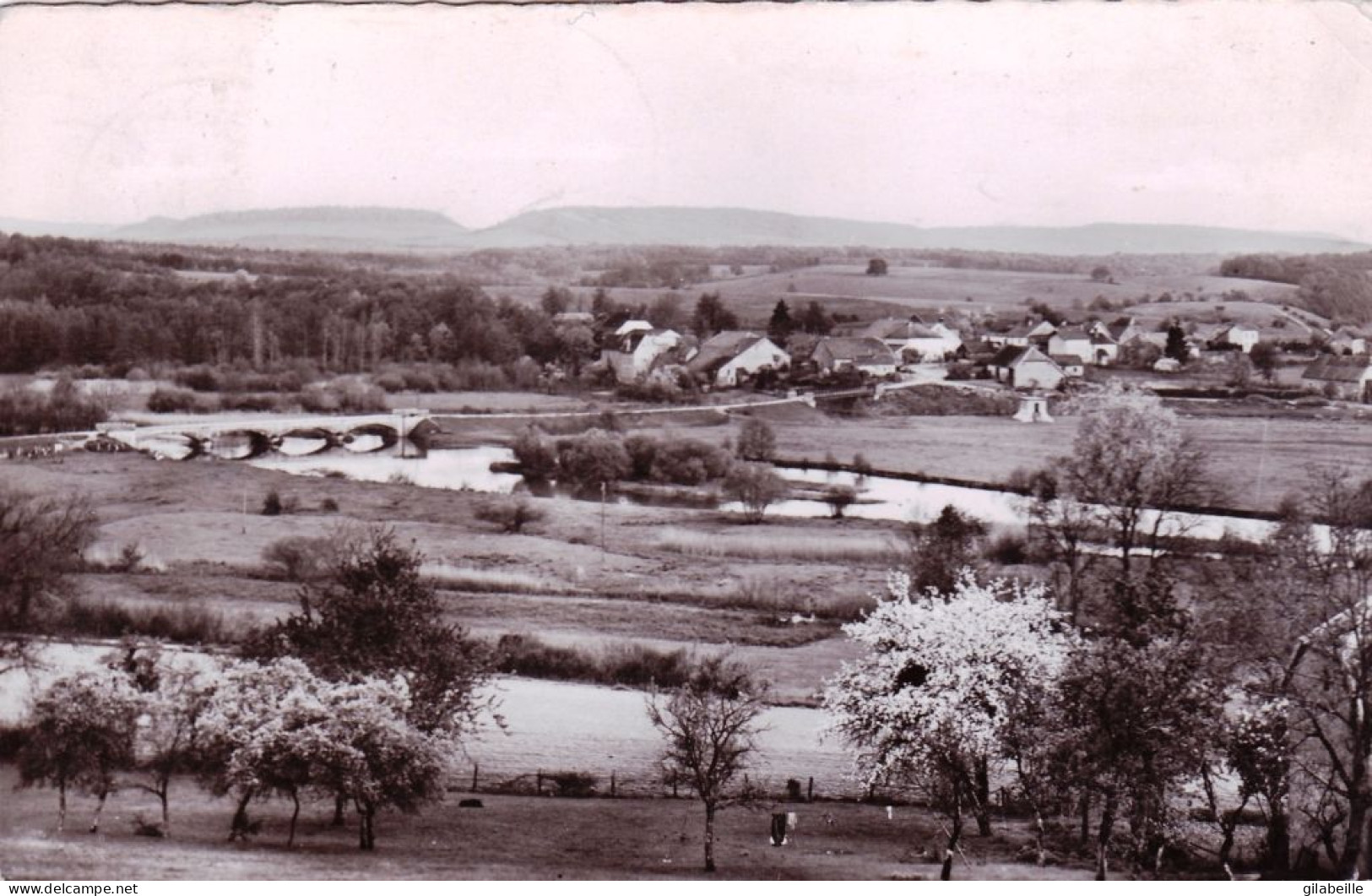 25 - Doubs - Panorama De MONTAGNEY - Environs De Rougemont - Autres & Non Classés