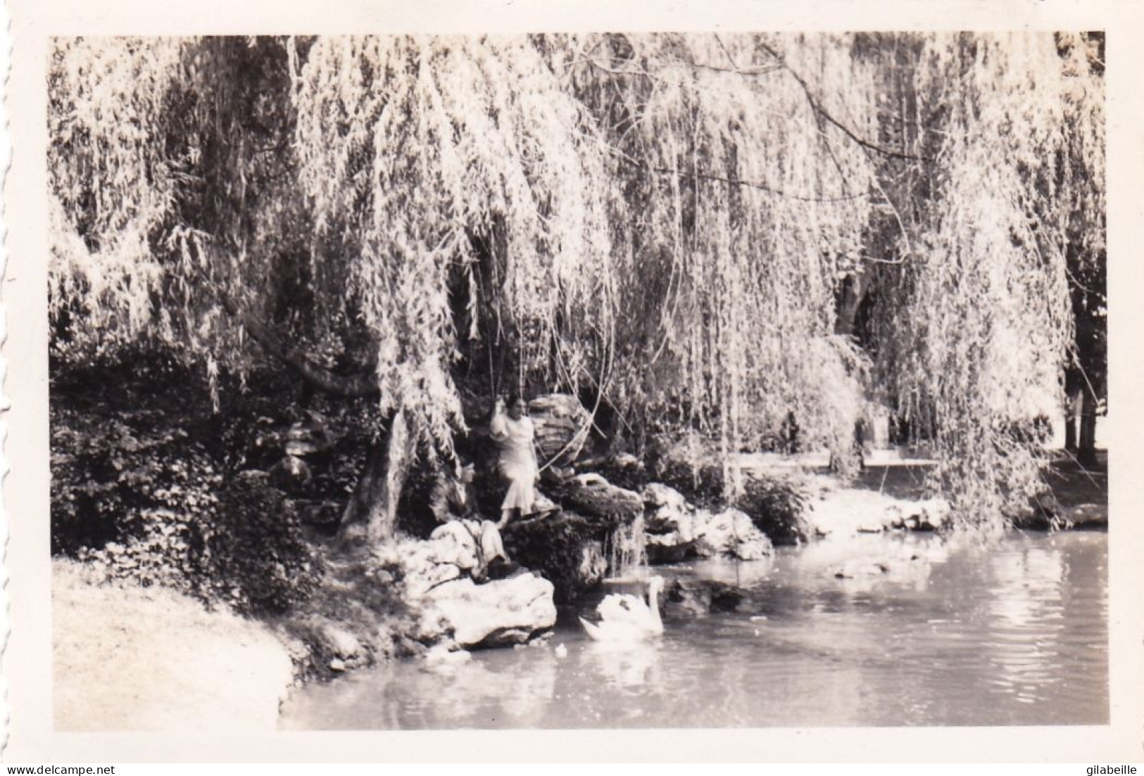 Photo 9.0 X 6.3 -  PAU   (64 ) Le Jardin Public - Aout 1934 - Orte