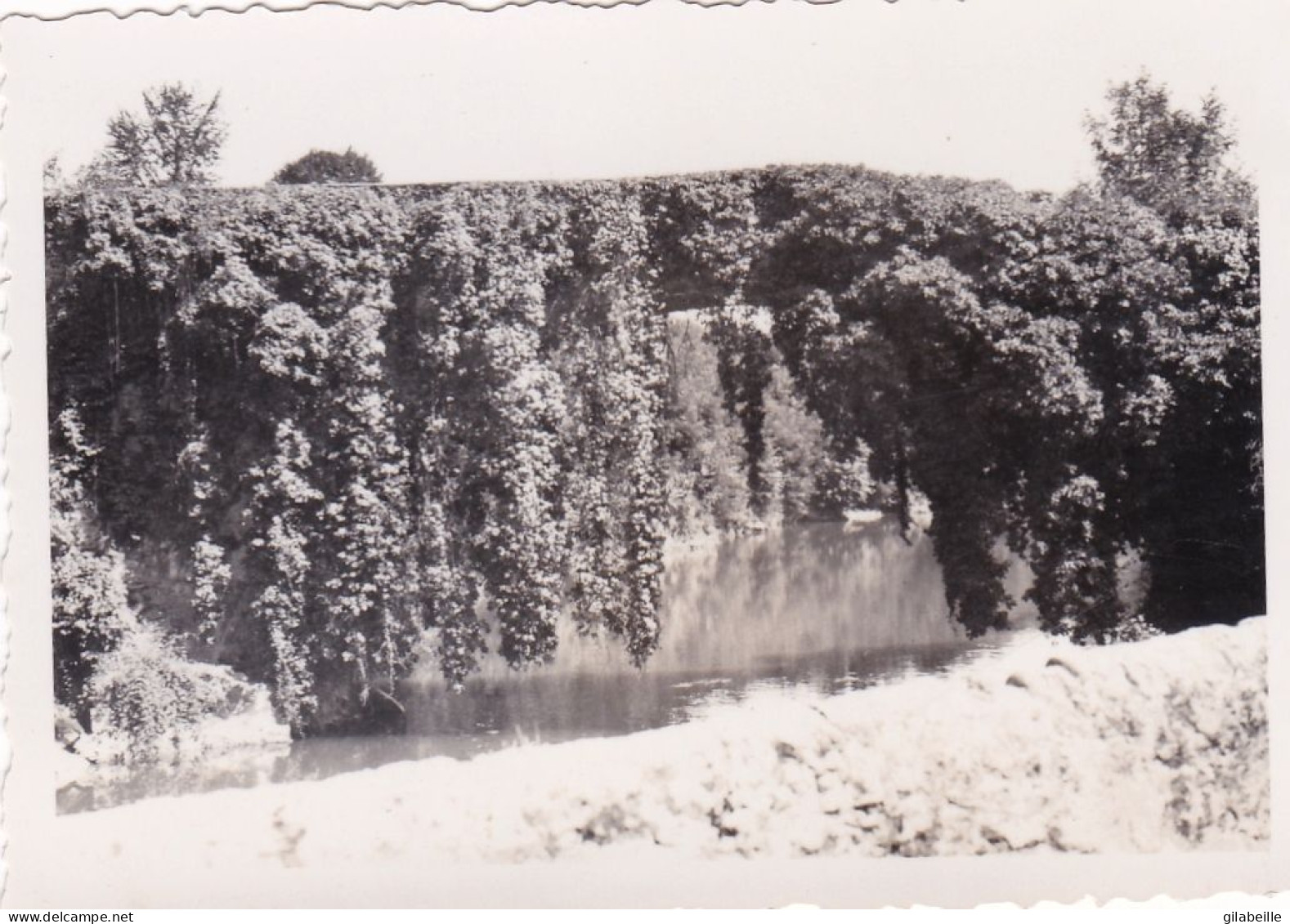 Photo 9.0 X 6.3 -  BETHARRAM   (64 ) Le Vieux Pont   - Aout 1934 - Orte