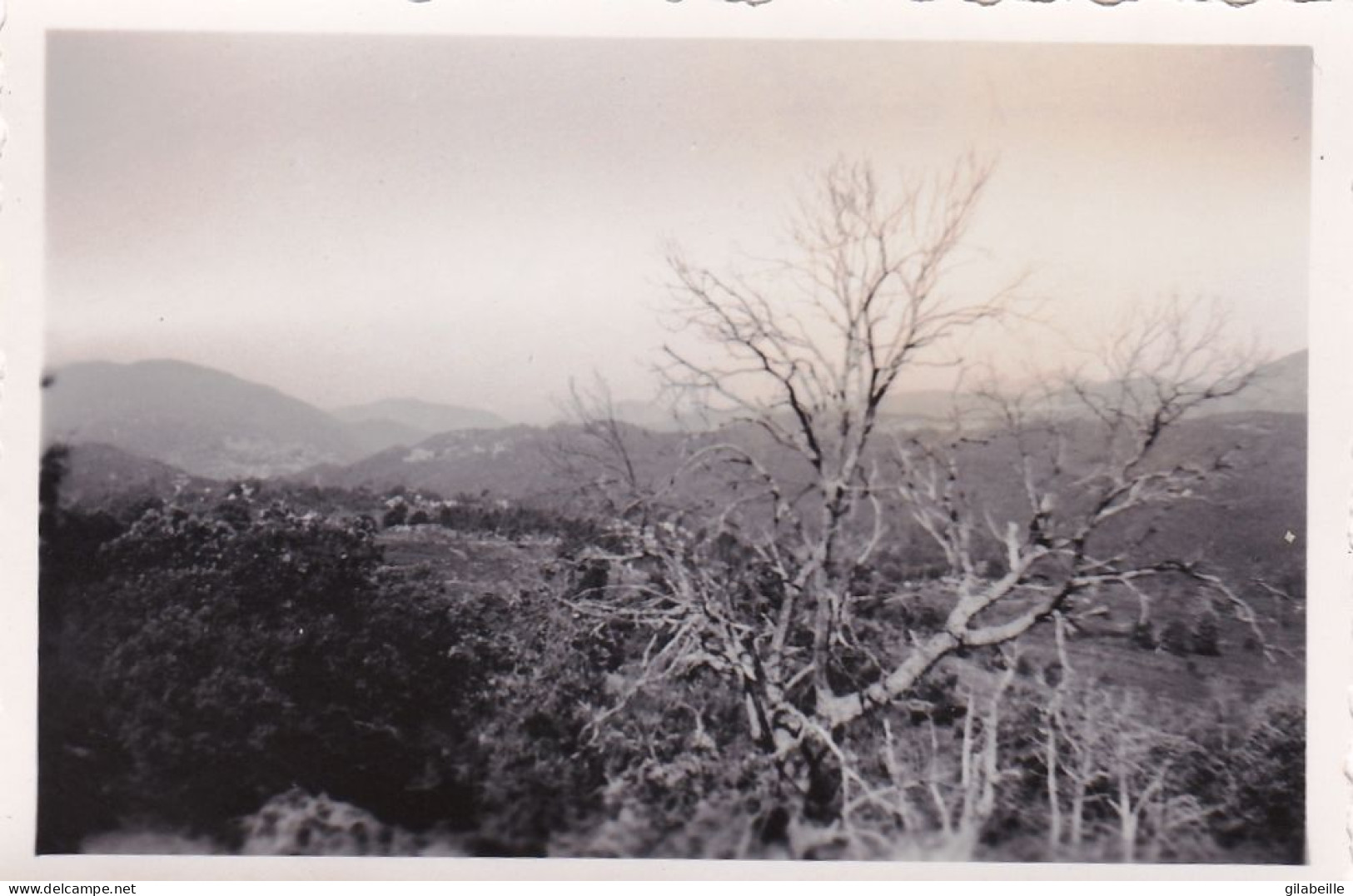 Photo 8.5 X 5.70 -  Corse- ZONZA (20) - Paysage 1951 - Places