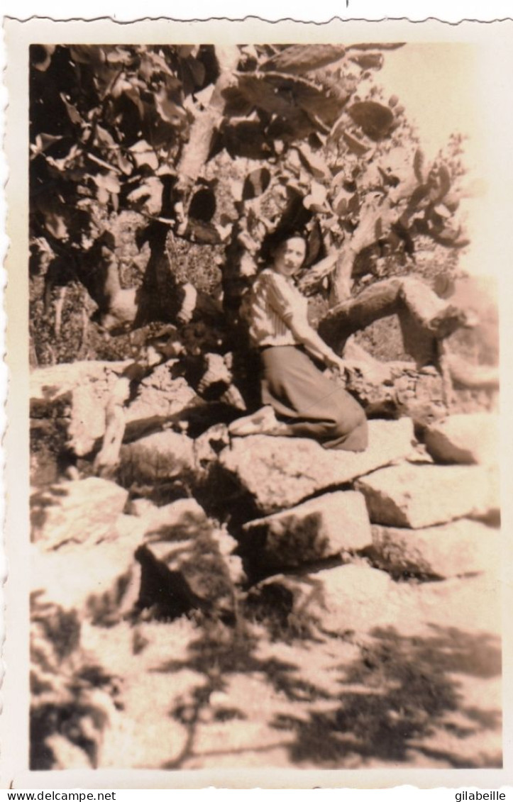 Photo 8.5 X 5.70 -  PORTO VECCHIO (20) Pose Dans Le Parc - 1951 - Personnes Anonymes