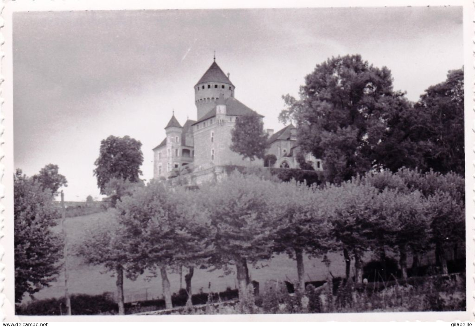 Photo 10.2 X 7.00 -chateau De Montrottier ( Lovagny ) Auxgorges Du Fier - Aout 1952 - Places