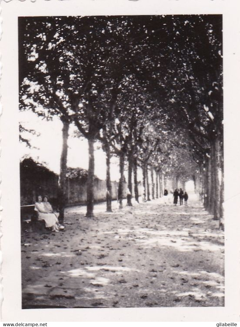 Photo 6.5 Cm X4.5 Cm - PAU - Boulevard Barbanegre  - Aout 1934 - Orte