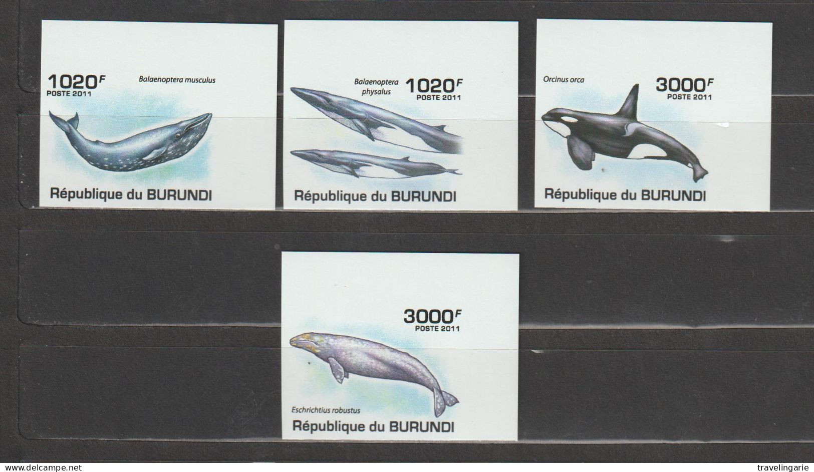 Burundi 2011 Whales Imperforate/ND MNH/ ** - Ungebraucht