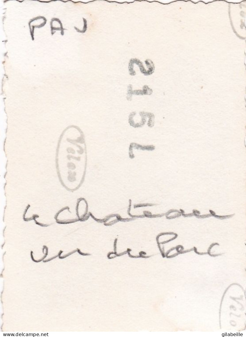 Photo 6.5 Cm X4.5 Cm - PAU -  Le Chateau Vu Du Parc  - Aout 1934 - Plaatsen