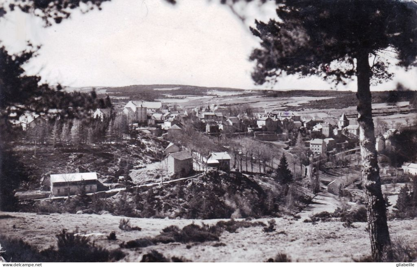 48 - Lozere -  GRANDRIEU - Vue Generale - Andere & Zonder Classificatie