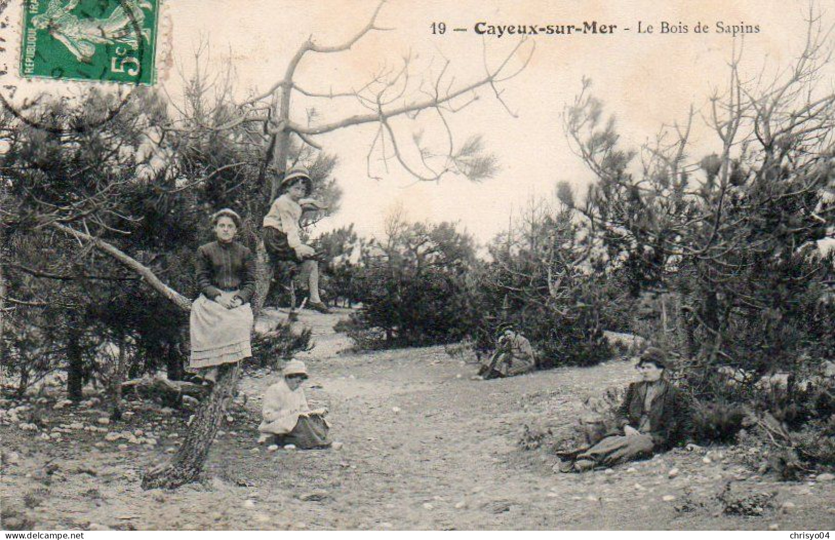 4V4Sb   80 Cayeux Sur Mer Le Bois De Sapins - Cayeux Sur Mer