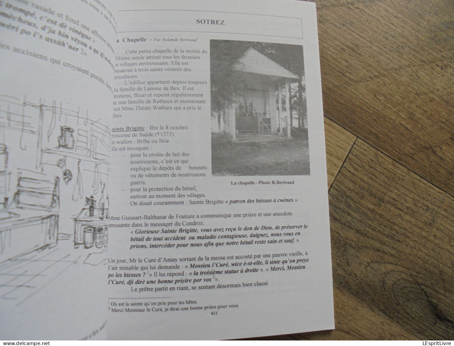 MEMOIRE DE NEUPRE N° 22 Régionalisme Trou Osny Loup Charbonniers Chapelle Sotrez Ecole Cartulaire Neuville Demblon