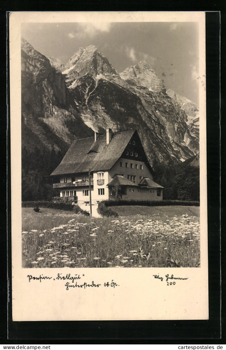 AK Hinterstoder, Tietlgut Vor Dem Gebirge  - Autres & Non Classés