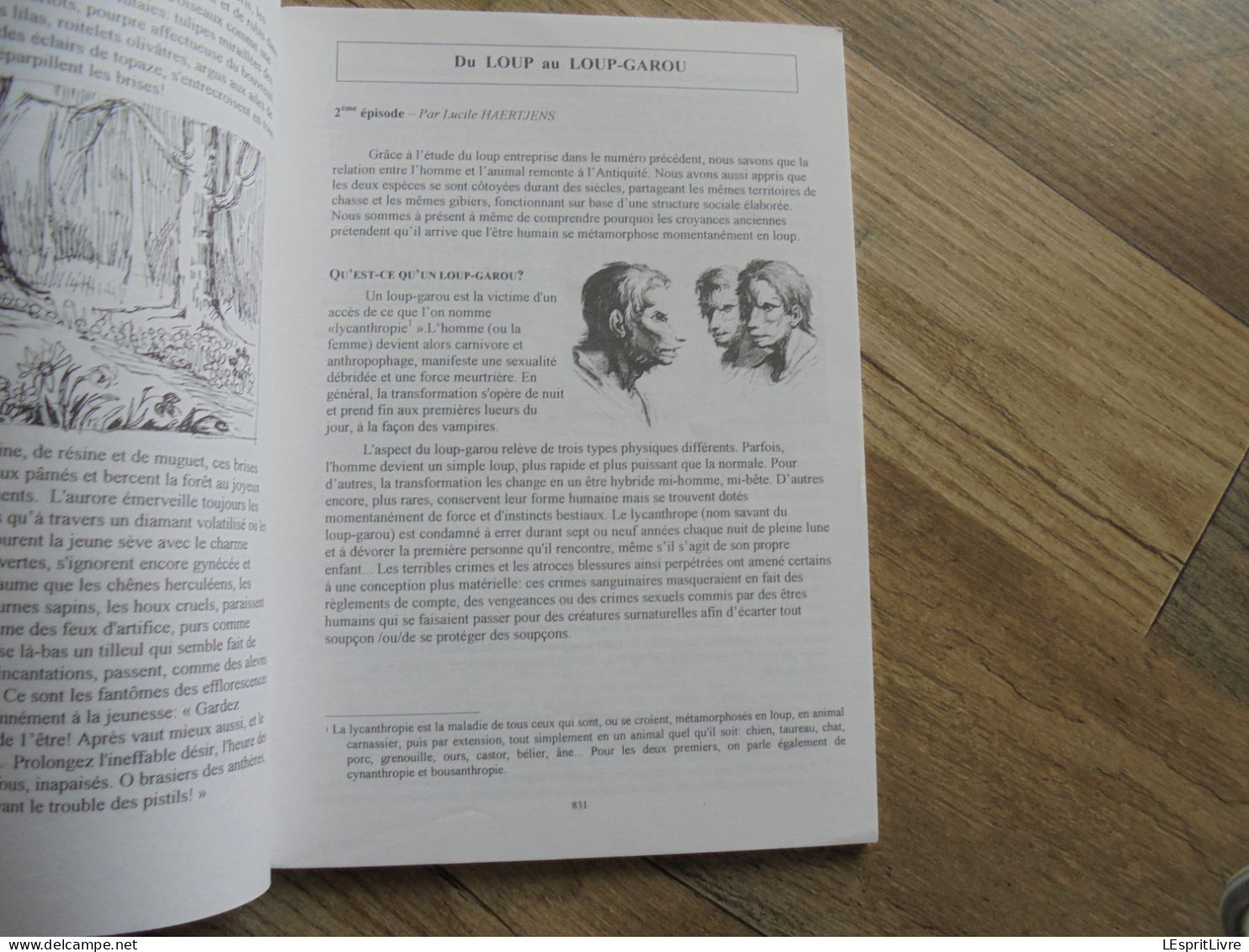 MEMOIRE DE NEUPRE N° 23 Régionalisme Bois Grotte Rosière Ecole Plainevaux Loup Loup Garou Cartulaire Neuville Demblon - Belgium